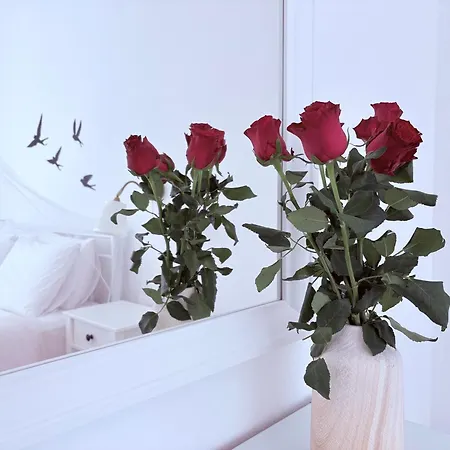 Sunset Cozy 네아 모우다니아